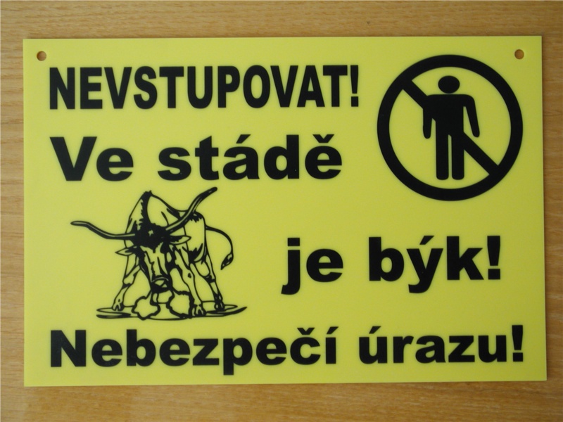 Tabulka "Býk ve stádě" velká